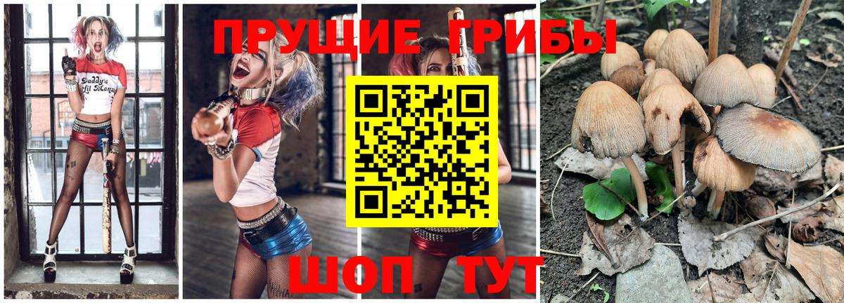 Тула  Псилоцибиновые грибы Psilocybe  где купить наркоту  Псилоцибиновые грибы Psilocybe  Вход с VPN 