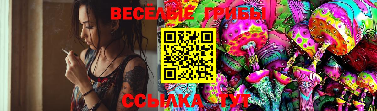 Псилоцибиновые грибы прущие грибы Тула